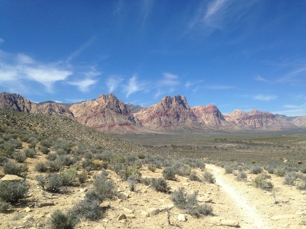 Exploring Nature: Scenic Biking Trails